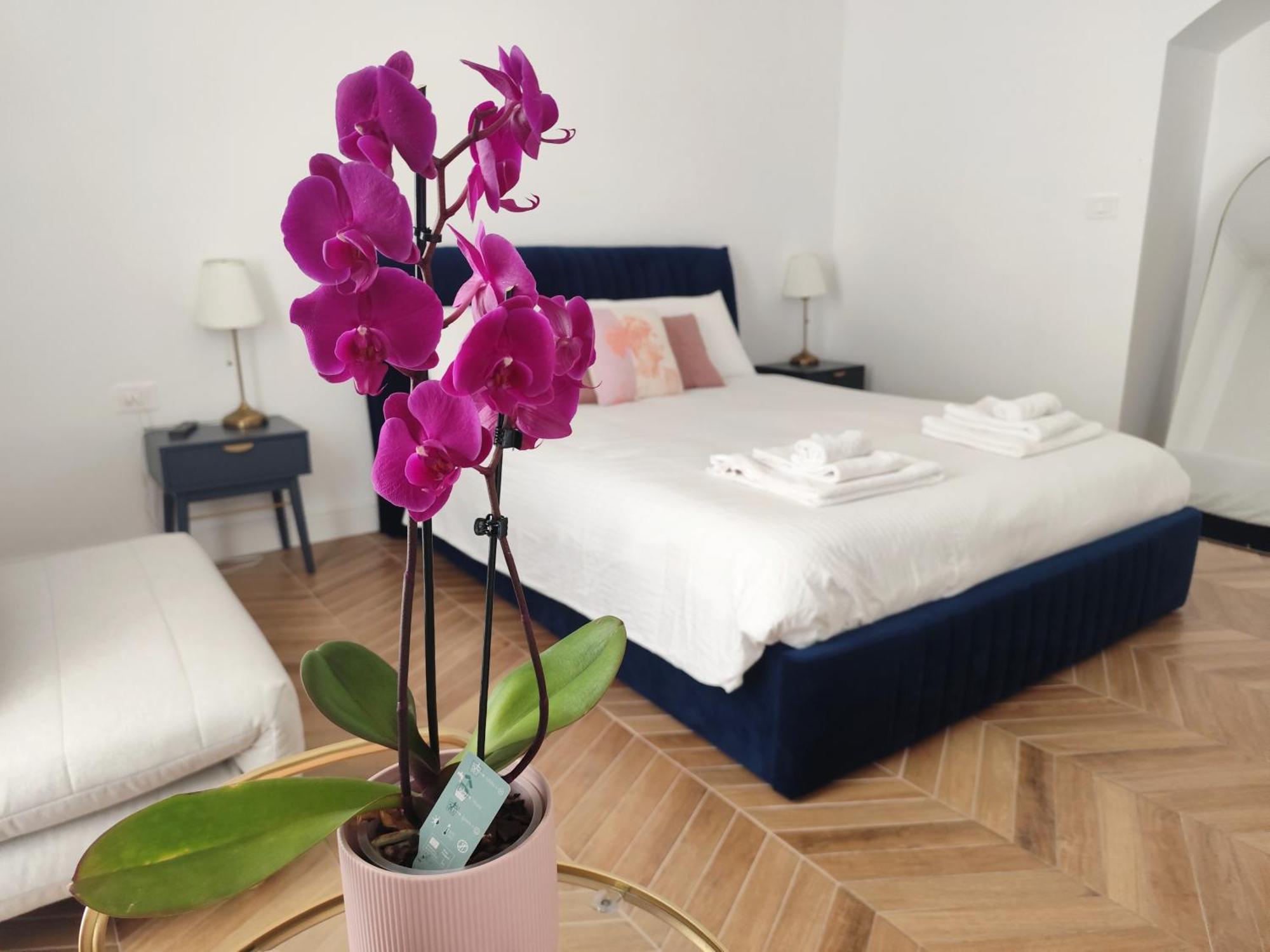 Vatican Eco Suite Rome Luaran gambar